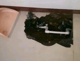 应城卫生间测漏水多少钱